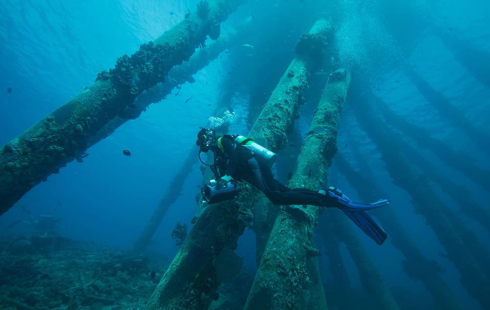 Diver inspecting subsea cables on the seabed